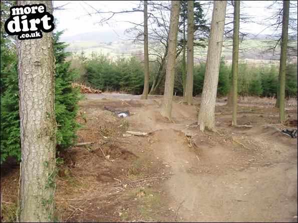 Llantrisant Wood Downhill Trails