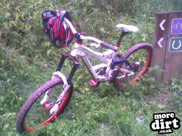 Queen Elizabeth Country Park Mountain Bike Trails