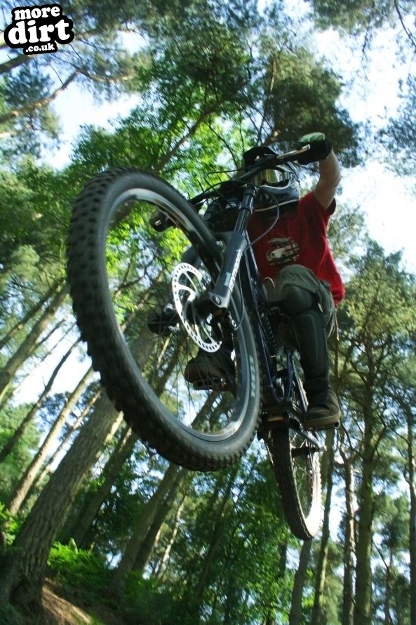 Delamere Forest Mountain Bike Trails