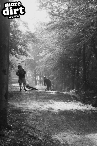 Okeford Hill Mountain Bike Park