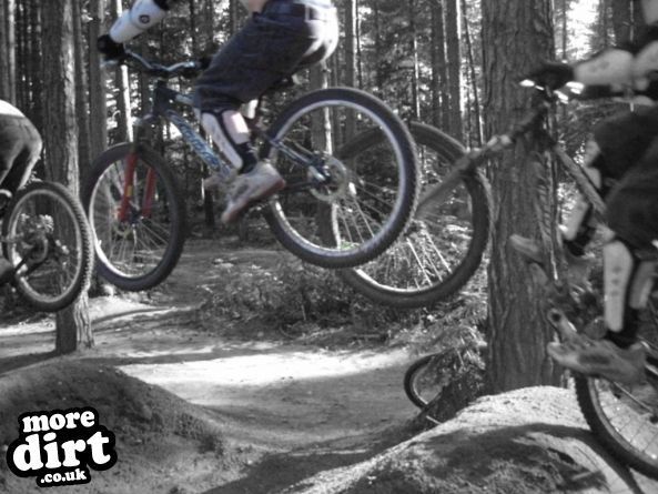 Sherwood Pines Bike Park