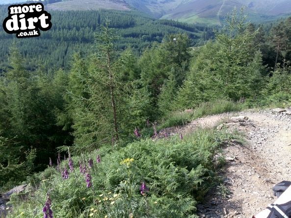 Gisburn Forest Mountain Bike Trails