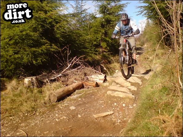 Gwydir Mawr Mountain Bike Trail