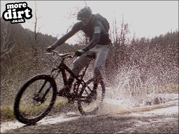 Gwydir Mawr Mountain Bike Trail