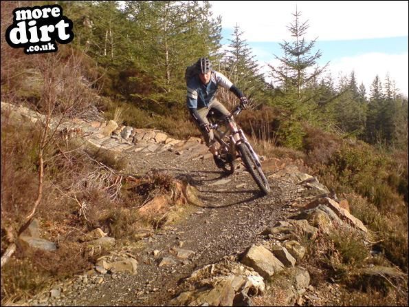 Gwydir Mawr Mountain Bike Trail