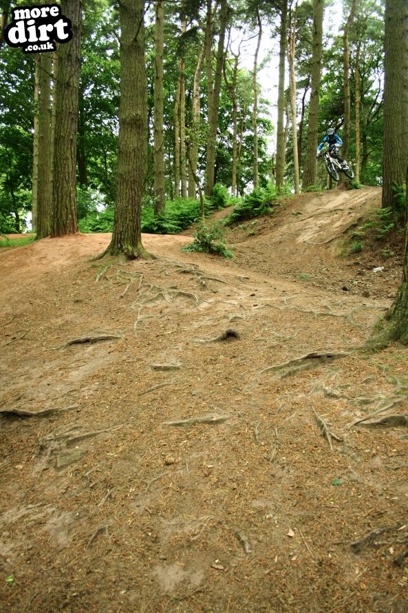 Delamere Forest Mountain Bike Trails