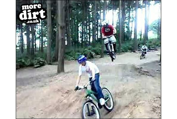 Delamere Forest Mountain Bike Trails