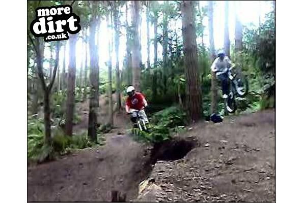 Delamere Forest Mountain Bike Trails