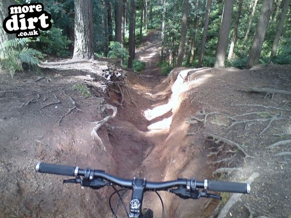 Delamere Forest Mountain Bike Trails