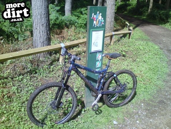 Delamere Forest Mountain Bike Trails