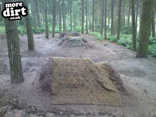 Delamere Forest Mountain Bike Trails