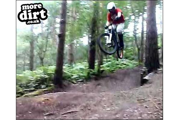 Delamere Forest Mountain Bike Trails