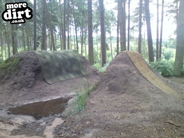 Delamere Forest Mountain Bike Trails