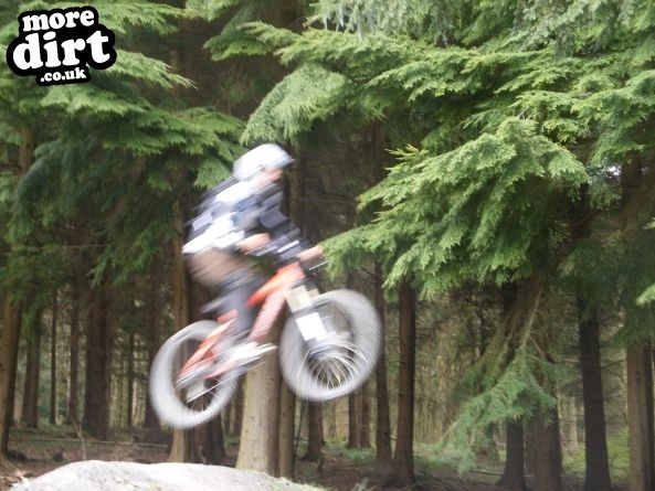 Downhill Trails - Forest of Dean