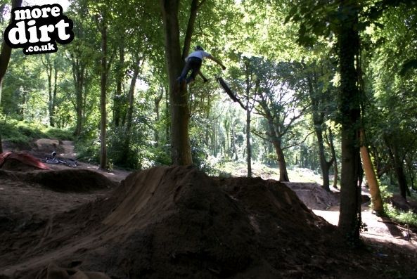 Getting tailwhips down!