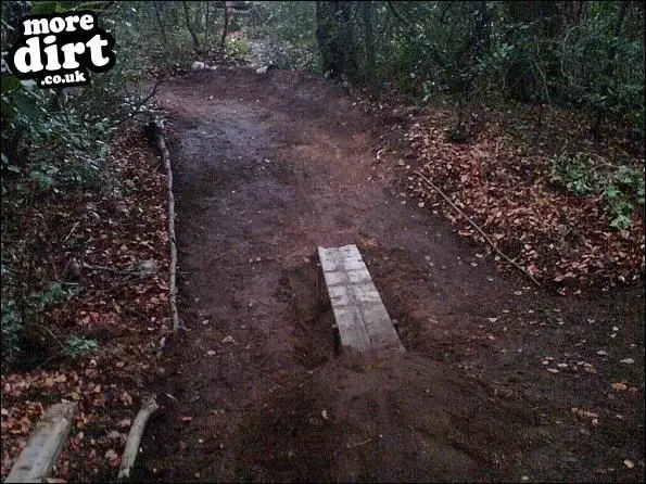 this trail me and my brother made
