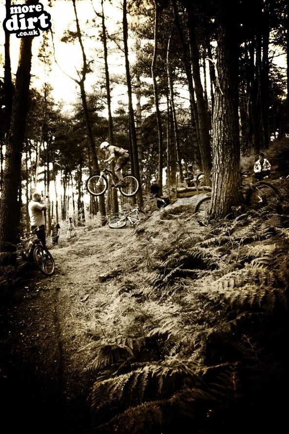 Delamere Forest Mountain Bike Trails