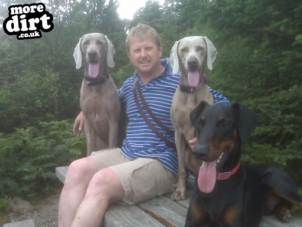 Gwydir Mawr Mountain Bike Trail