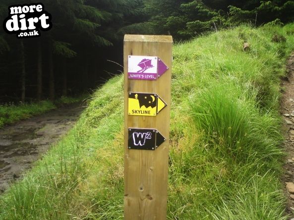 Skyline Trail - Afan Forest