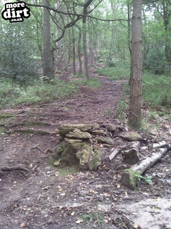 This is the end of the DH section of trail