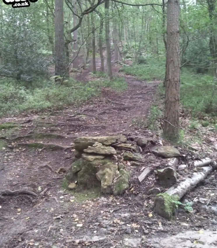 This is the end of the DH section of trail