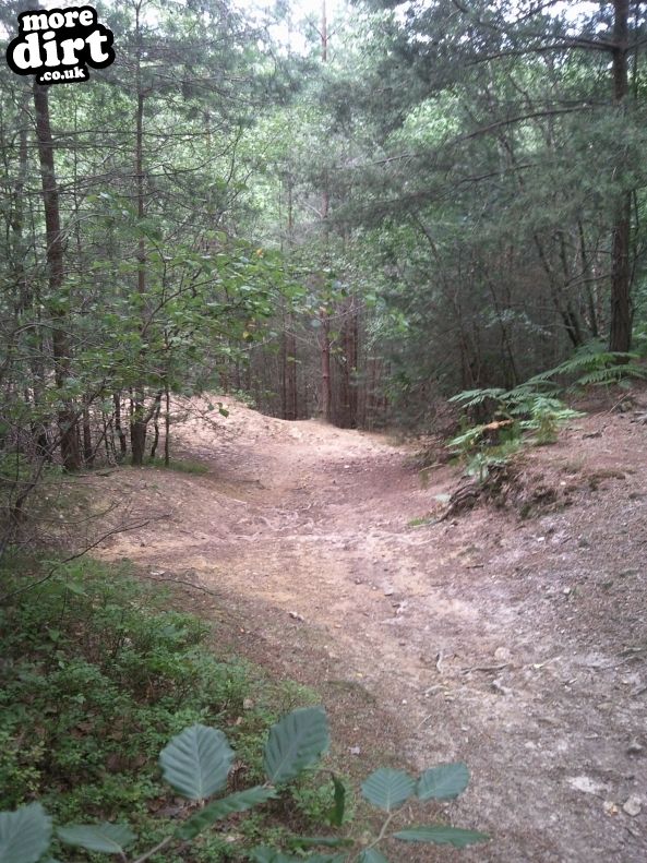 This is the top of the DH section of trail