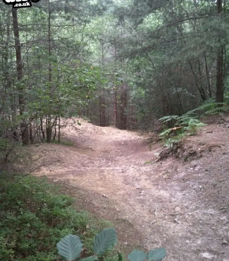 This is the top of the DH section of trail