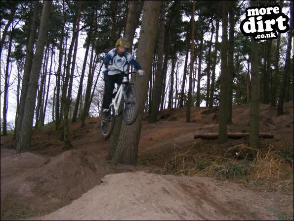 Delamere Forest Mountain Bike Trails