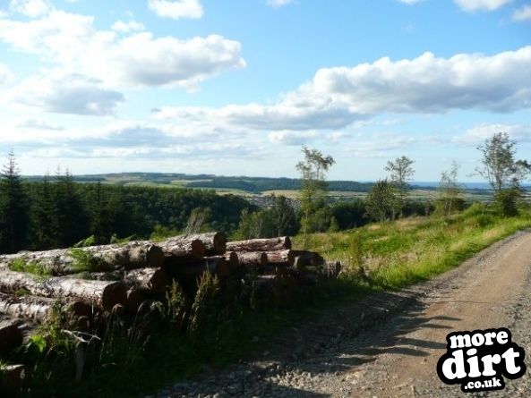 Guisborough Forest Mountain Bike Trails