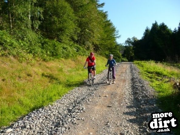 Guisborough Forest Mountain Bike Trails