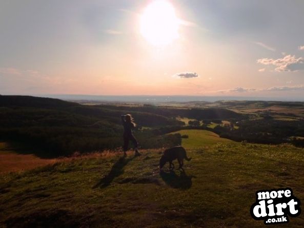 Guisborough Forest Mountain Bike Trails