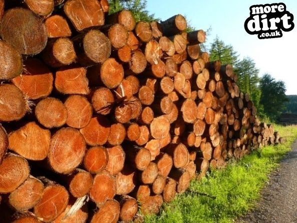 Guisborough Forest Mountain Bike Trails