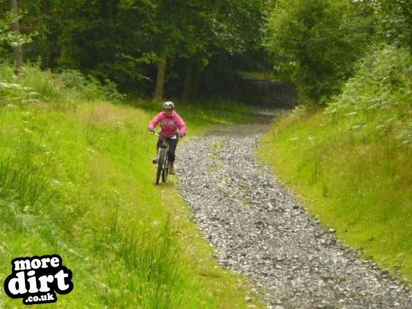 Guisborough Forest Mountain Bike Trails