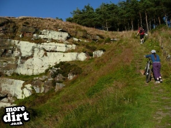 Guisborough Forest Mountain Bike Trails