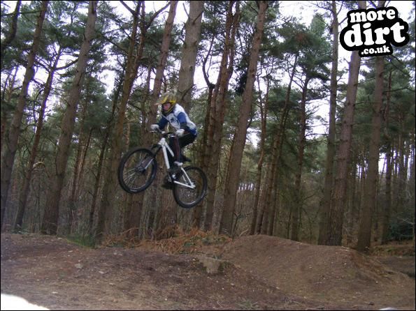 Delamere Forest Mountain Bike Trails