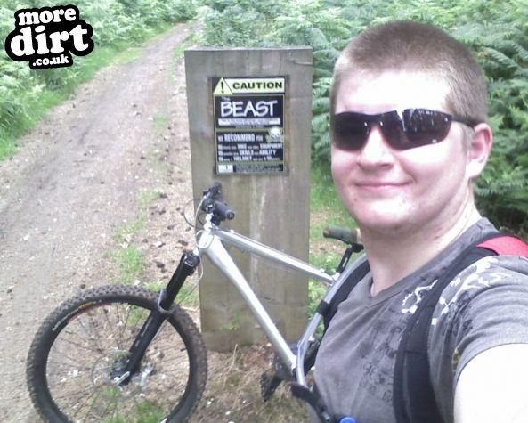 Lime Burner Trail - Thetford Forest