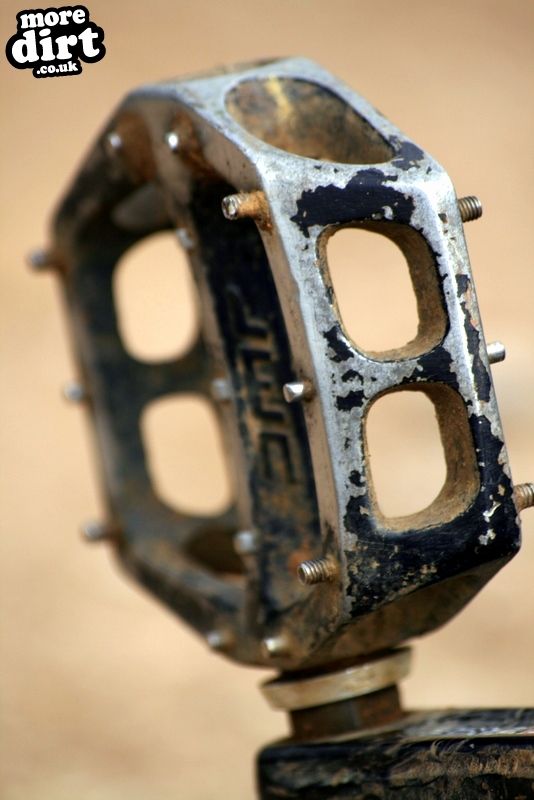 Follow the Dog Trail - Cannock Chase