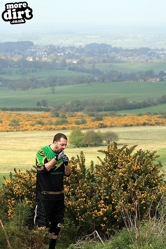 Follow the Dog Trail - Cannock Chase