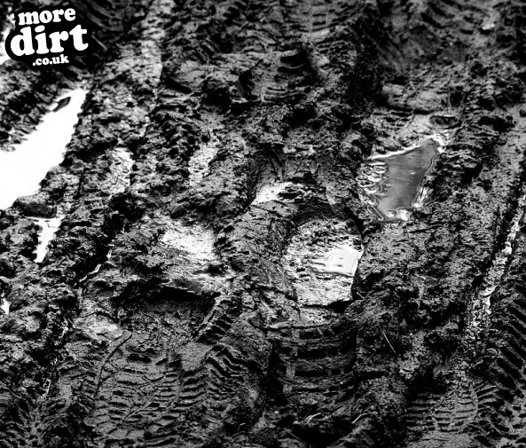 Follow the Dog Trail - Cannock Chase