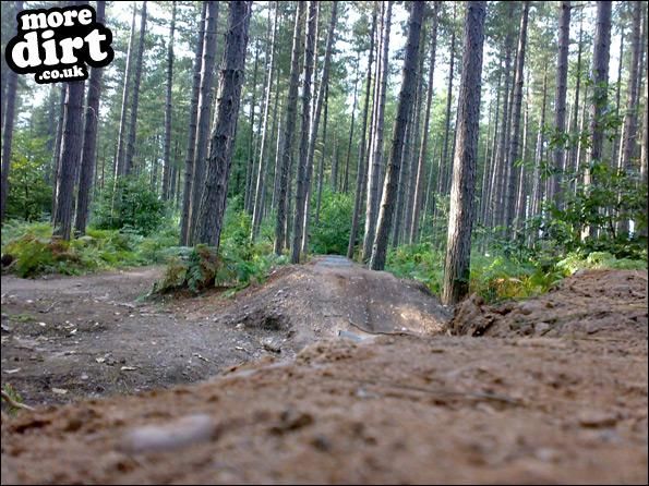Sherwood Pines Bike Park