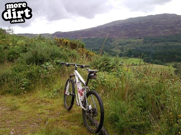 Dragons Back Trail - Coed-y-Brenin