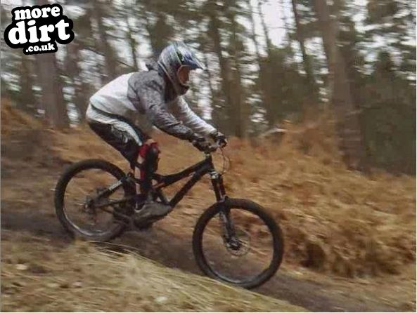 Swinley Forest Mountain Bike Centre