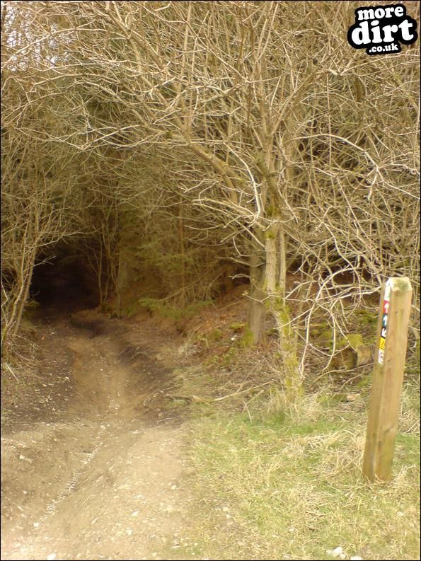 Dalby Black Trail