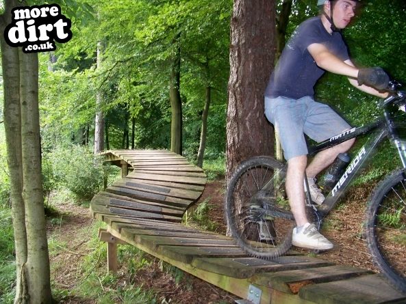 Dalby Forest Red Trail