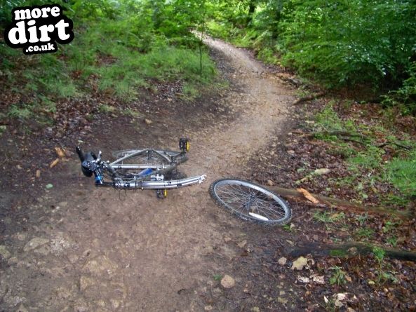 Dalby Forest Red Trail