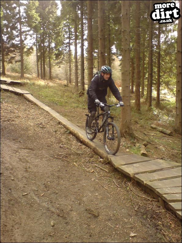 Pace Bike Park - Dalby Forest