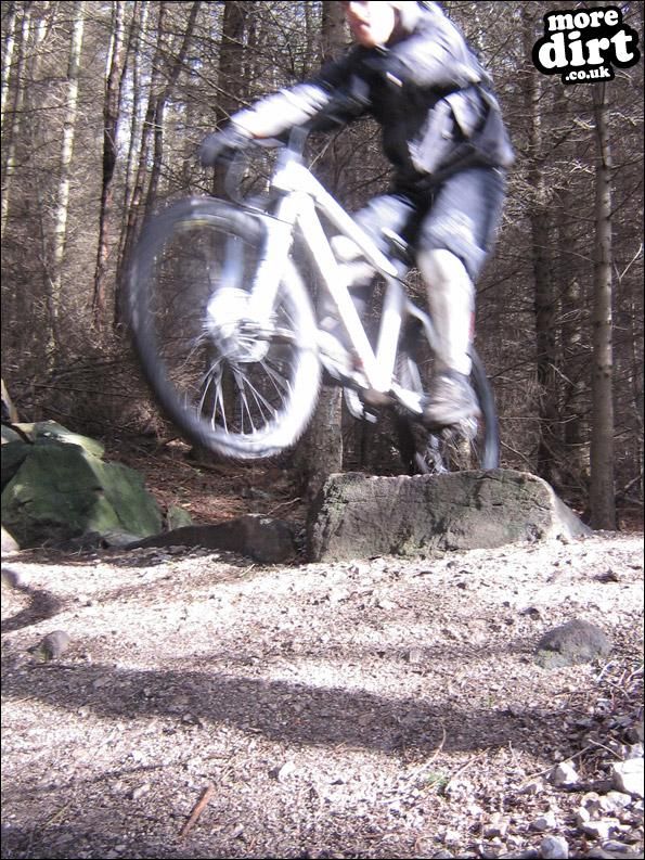 Warren Boulder Trail - Stainburn Forest