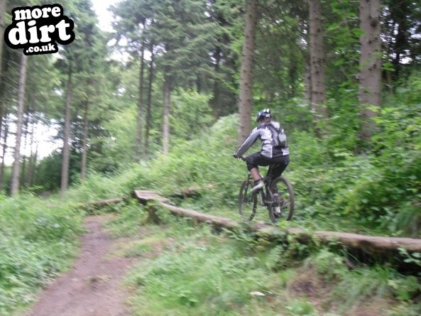 Pace Bike Park - Dalby Forest