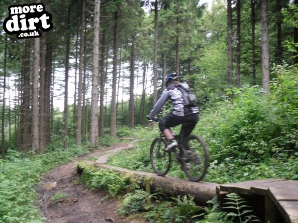 Pace Bike Park - Dalby Forest
