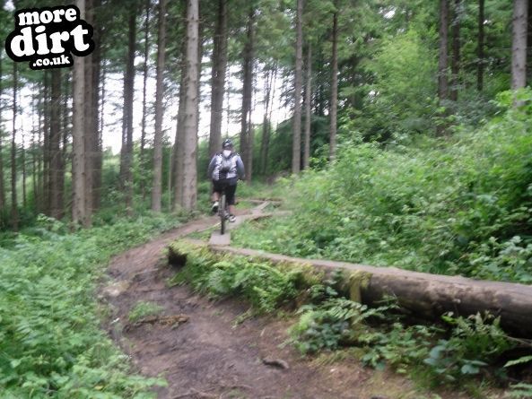 Pace Bike Park - Dalby Forest